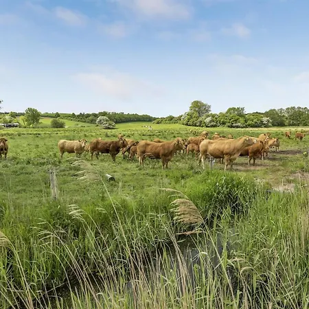 Sigbritt - 100m From The Sea By Interhome Prázdninový dům Broager