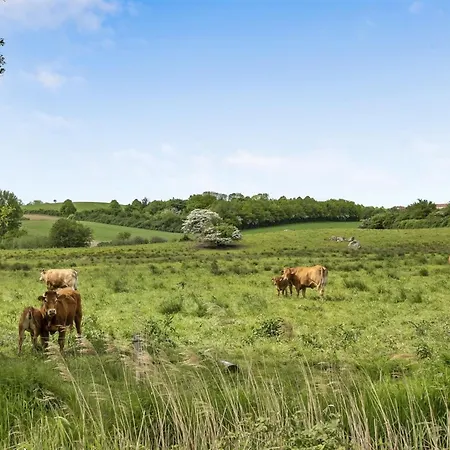 Sigbritt - 100m From The Sea By Interhome *