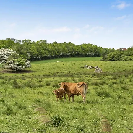 Sigbritt - 100m From The Sea By Interhome