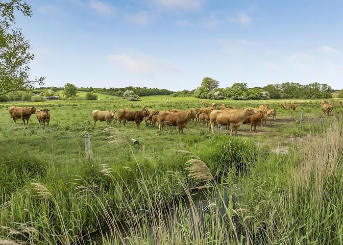 Sigbritt - 100m From The Sea By Interhome Holiday home Broager