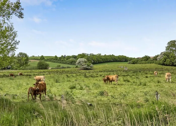 Sigbritt - 100m From The Sea By Interhome *