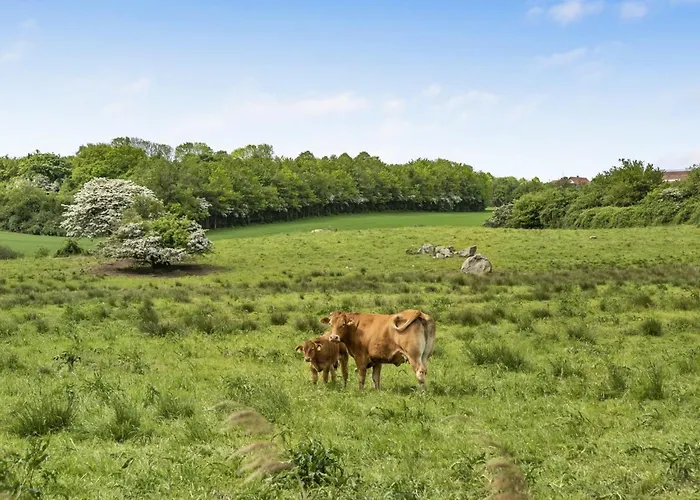 Sigbritt - 100m From The Sea By Interhome